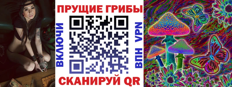 купить наркотики сайты  Великий Новгород  Псилоцибиновые грибы Psilocybine cubensis 
