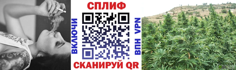 как найти   Великий Новгород  Бошки Шишки THC 21% 